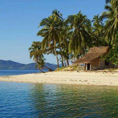 澳门精准正版资料大全下载手机版